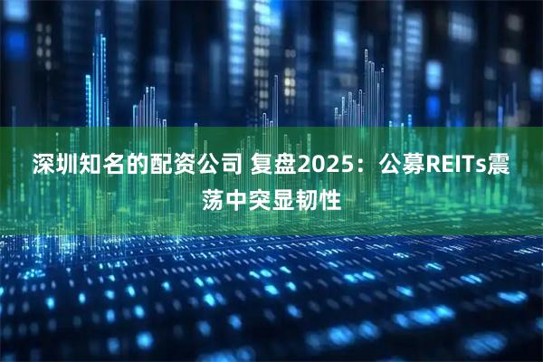 深圳知名的配资公司 复盘2025：公募REITs震荡中突显韧性