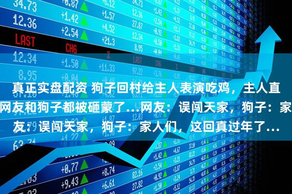 真正实盘配资 狗子回村给主人表演吃鸡,主人直接扔给它一个大惊喜,网友和狗子都被砸蒙了…网友:误闯天家,狗子:家人们,这回真过年了…