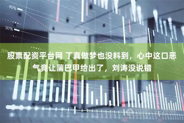 股票配资平台网 丁真做梦也没料到，心中这口恶气竟让蒲巴甲给出了，刘涛没说错
