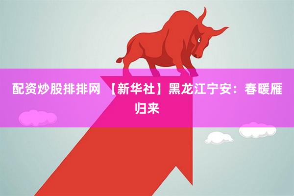 配资炒股排排网 【新华社】黑龙江宁安：春暖雁归来